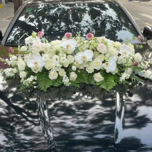 Z7767765179250 856bd2a5df8f5d834d087e0e70702101