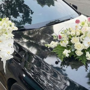 Z7767765180008 B783af9c5a5508ec87597ee8cbb5182d