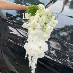 Z7767765193875 8444651bf3f186aa41eca2dacd2f8460