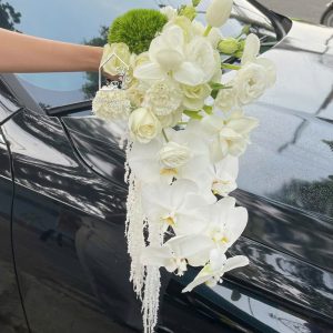 Z7767765202277 B896645aaa4be404bb8d780ff02db102