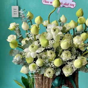 Z7767765485410 D56653330331d85c817b240ad51cc839