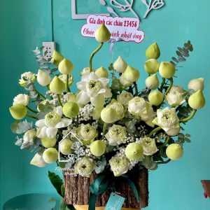 Z7767765497583 Cf2d0ac8c02902ef9789f2eb5484c9ca