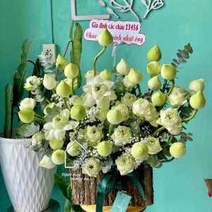 Z7767765497998 0e556585896ead5f04324c6144b35a46