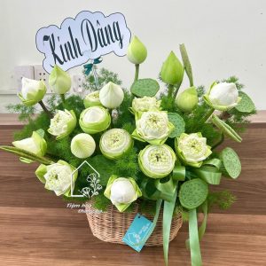 Z7767766840489 900d38301eeff661f68c2b545d4b81e6