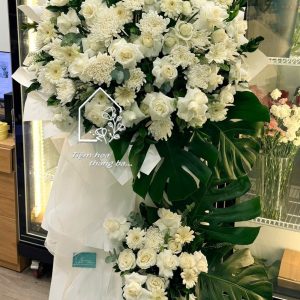 Z7767767007930 782f1c0d2d510f8c6c53033f896f46c3