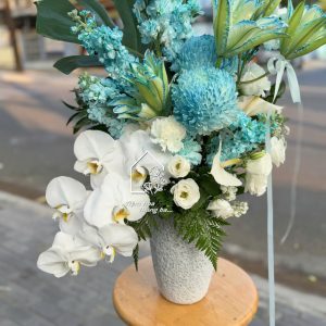 Z7767768008618 017f28df4310a1aca229f7f7bbd2d5ef